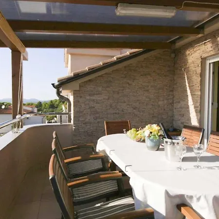 Zorka * 普利莫顿