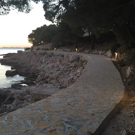 Zorka * 普利莫顿